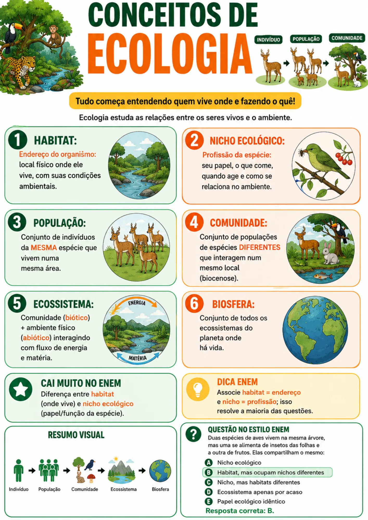 Resumo visual de Biologia