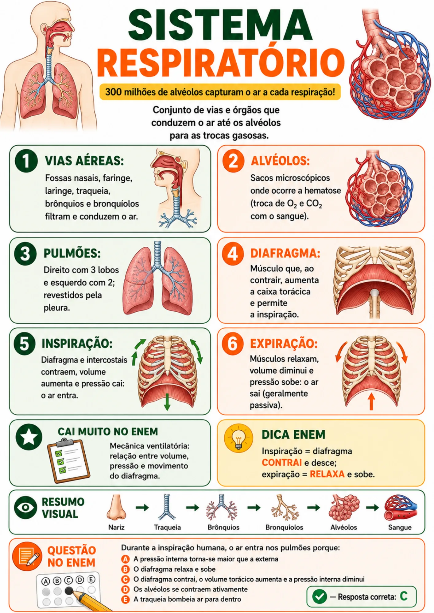 Módulo Fisiologia Humana I