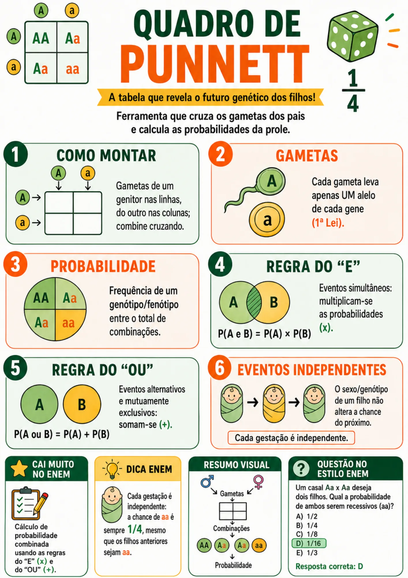 Resumo visual de Biologia