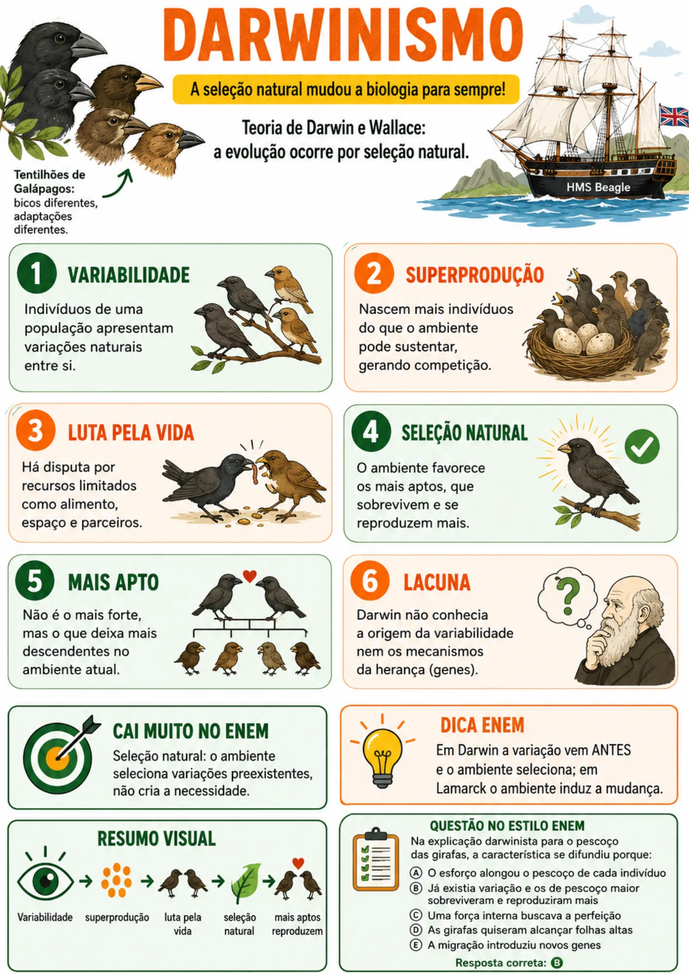 Resumo visual de Biologia